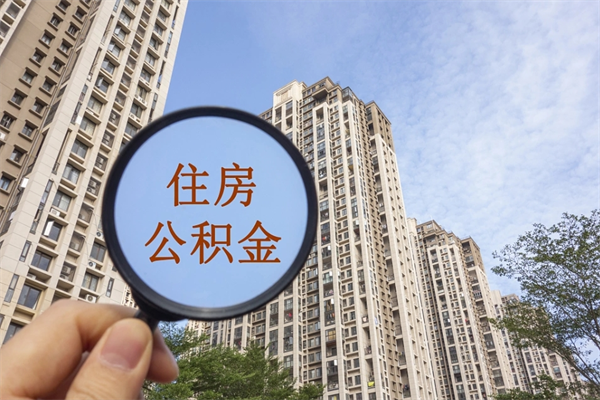 海盐离职可以取出公积金吗（离职可以取公积金嘛）